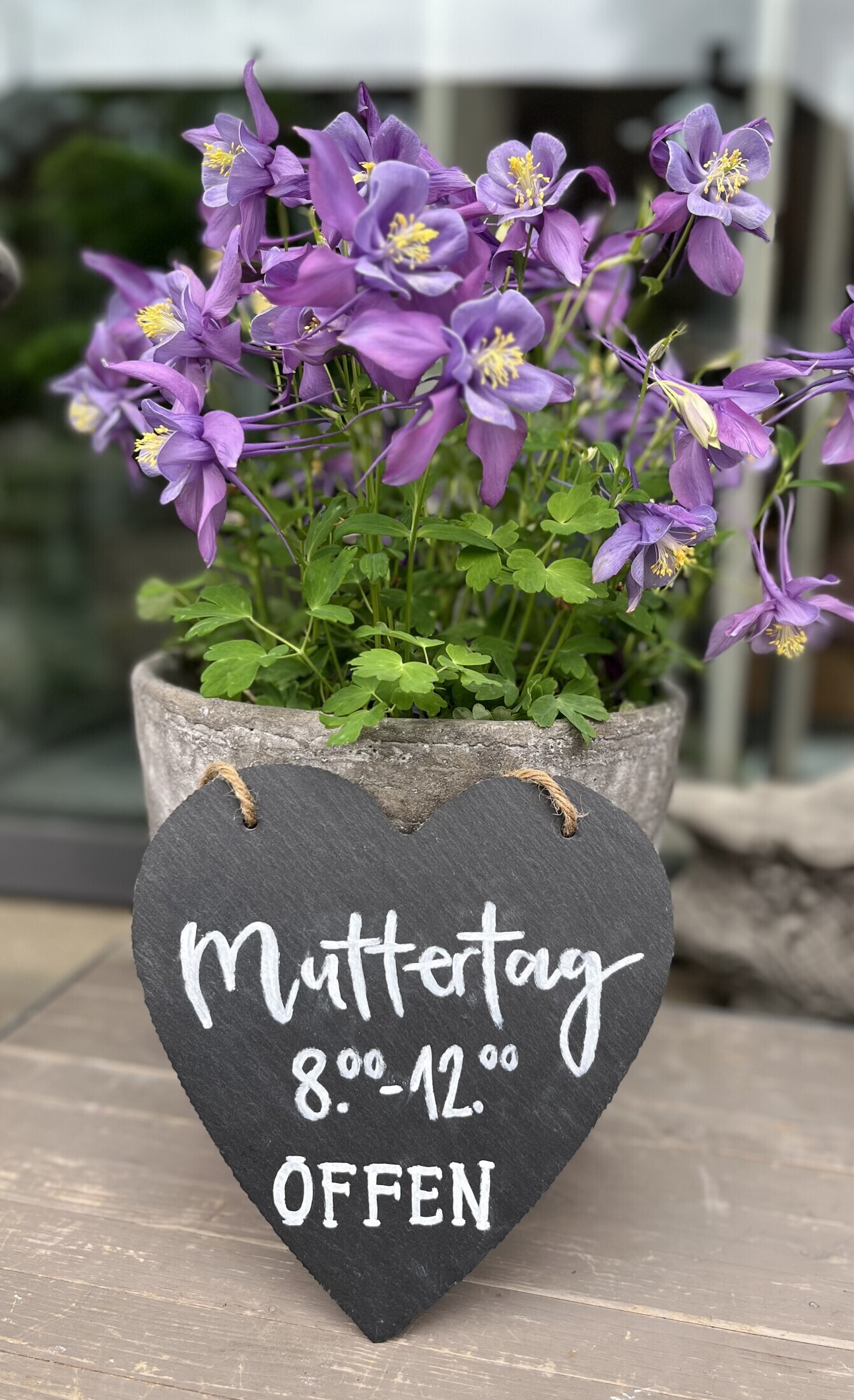 Öffnungszeiten Muttertag