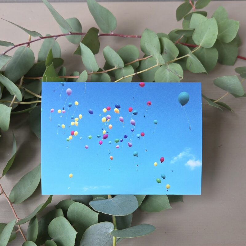Bunte Ballons fliegen in den blauen Himmel, umrahmt von grünen Eukalyptusblättern.