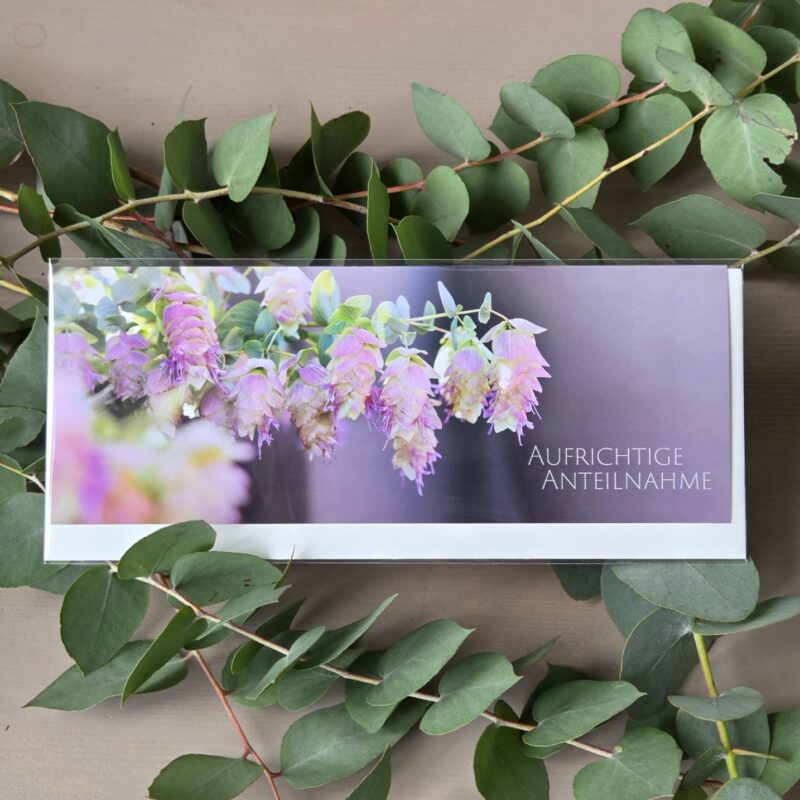 Beileidskarte mit lila Blumen und der Aufschrift Aufrichtige Anteilnahme, umgeben von grünen Blättern.