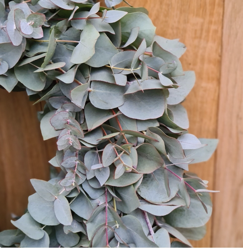 Eukalyptusblätter-Kranz an Holztür, grünes Laub für natürliche Dekoration. Ideal für florale Arrangements oder Heimdeko.